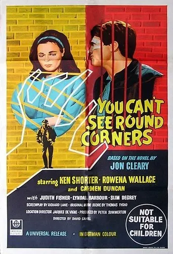 Póster de You Can't See 'round Corners