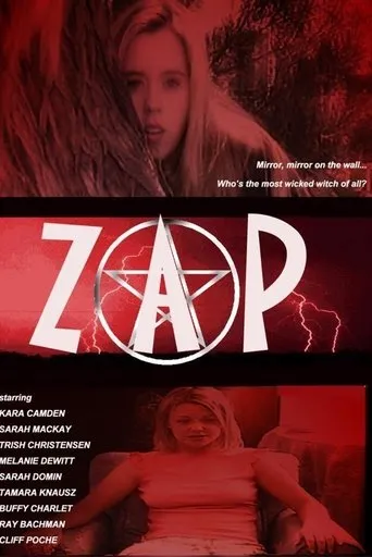 Póster de Zap