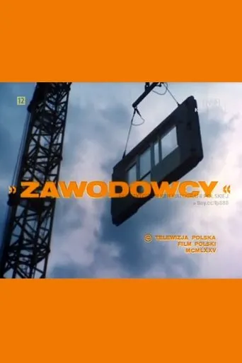 Póster de Zawodowcy