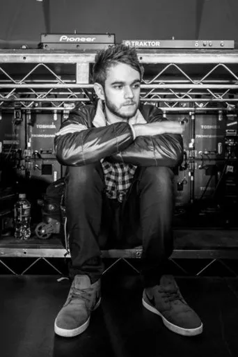 Póster de Zedd: Moment of Clarity