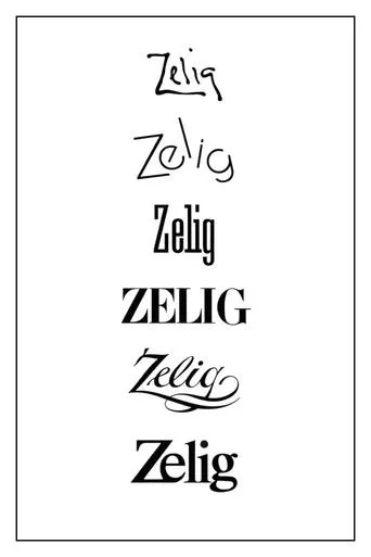 Póster de Zelig