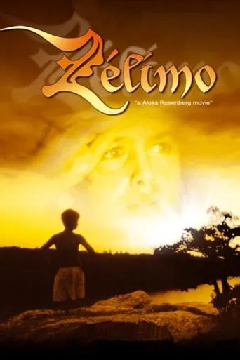Póster de Zelimo