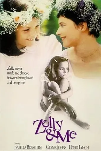 Póster de Zelly and Me