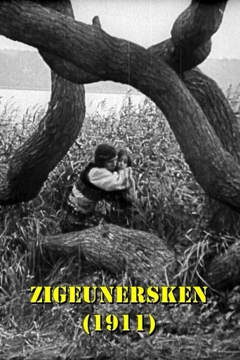 Póster de Zigeunersken