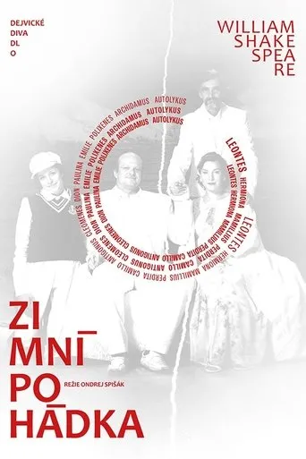Póster de Zimní pohádka