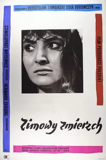 Póster de Zimowy zmierzch