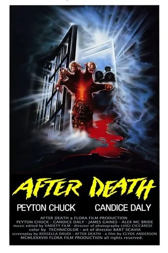 Póster de Zombi 4: After Death
