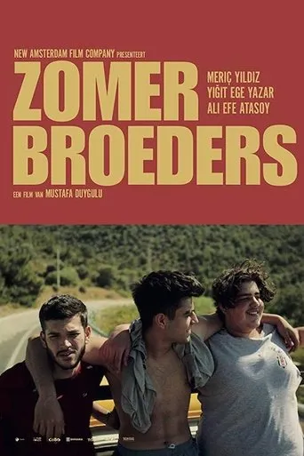 Póster de Zomerbroeders