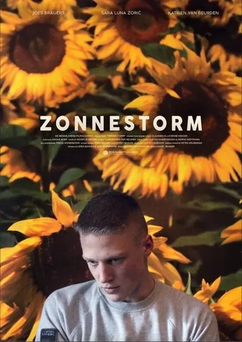 Póster de Zonnestorm