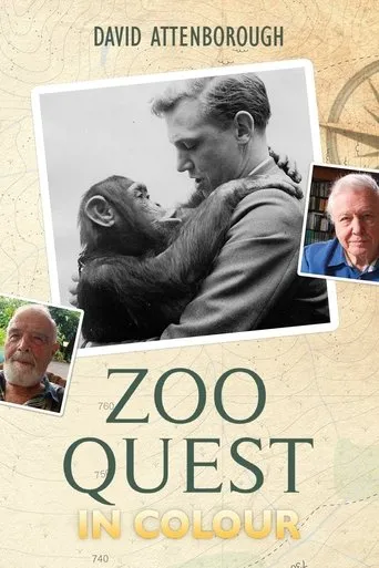 Póster de Zoo Quest in Colour