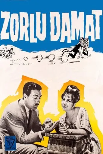 Póster de Zorlu Damat