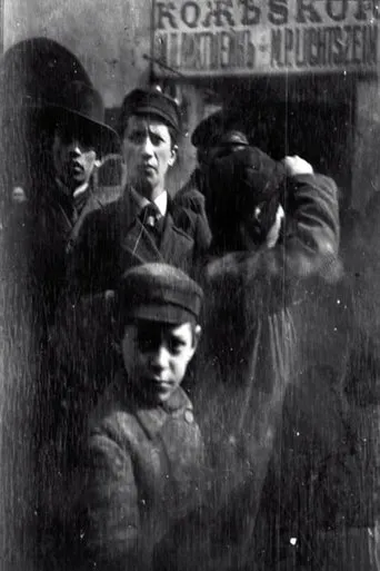Póster de Zorn bakom kameran