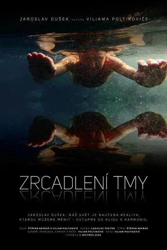 Póster de Zrcadlení tmy