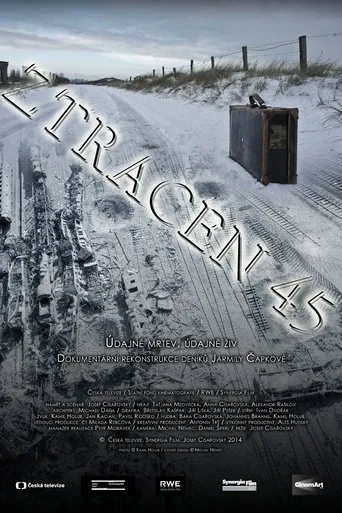 Póster de Ztracen 45