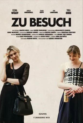 Póster de Zu Besuch