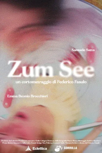 Póster de Zum See