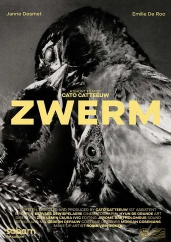 Póster de ZWERM