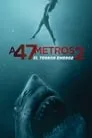 A 47 metros 2: El terror emerge, película destacada