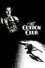 Cotton Club, película destacada
