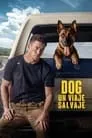 Dog - Un viaje salvaje, película destacada