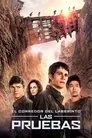 El corredor del laberinto: Las pruebas, película destacada