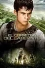 El corredor del laberinto, película destacada