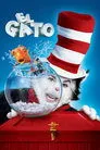 El gato, película destacada