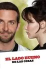 El lado bueno de las cosas, película destacada