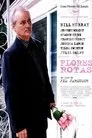 Flores rotas, película destacada