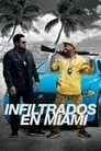 Infiltrados en Miami, película destacada