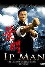 Ip Man, película destacada