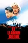 Le llaman Bodhi, película destacada
