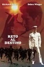 Oficial y Caballero, película destacada
