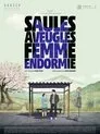 Cartel de Saules aveugles, femme endormie