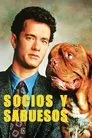 Socios y sabuesos, película destacada