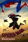 Spider-Man: un nuevo universo, película destacada