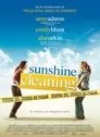 Cartel de Sunshine Cleaning