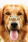 Tu mejor amigo, película destacada