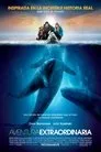 Una aventura extraordinaria, película destacada
