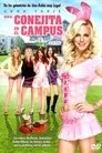 Una conejita en el campus, película destacada