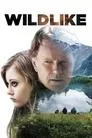 Cartel de Wildlike