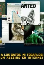 Póster de A los gatos ni tocarlos: Un asesino en Internet