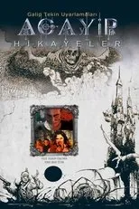 Póster de Acayip Hikayeler