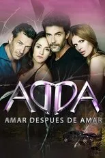 Póster de Amar, después de amar