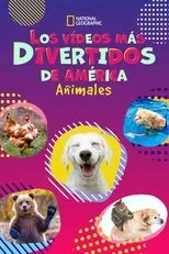 Póster de America's Funniest Home Videos: Animal Edition