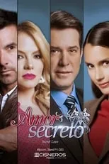 Póster de Amor secreto