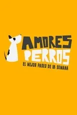 Póster de Amores perros