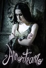 Póster de Amorteamo