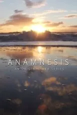 Póster de Anamnesis