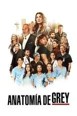 Póster de Anatomía de Grey